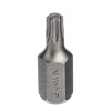 GARWIN PRO 631025-T25 Бита 10 мм Torx T25 30 мм