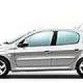 Коврики Peugeot 206